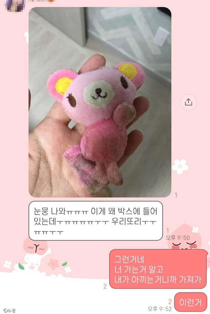 노트펫