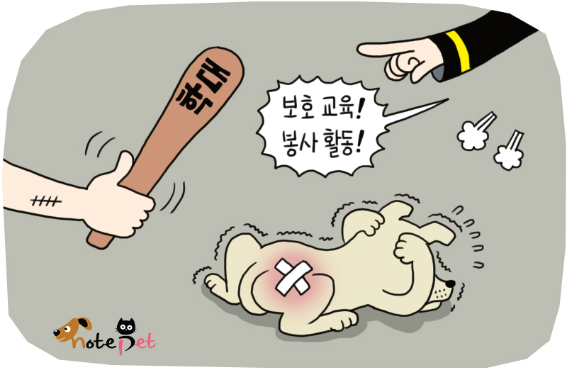 노트펫