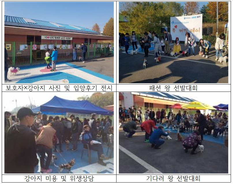 노트펫