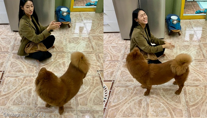 노트펫