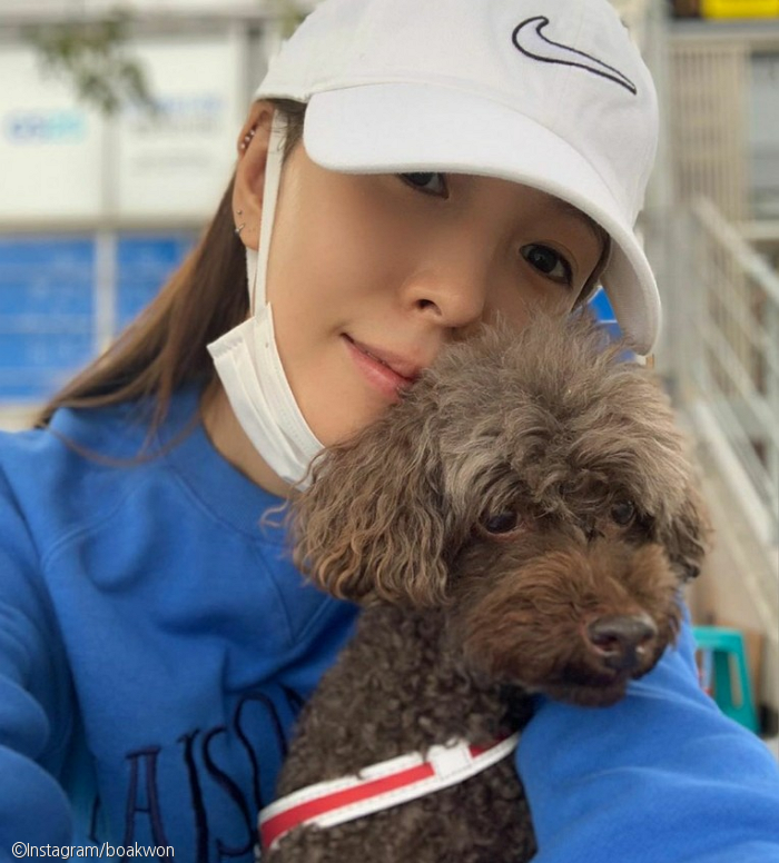 노트펫
