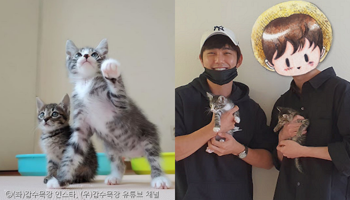 노트펫