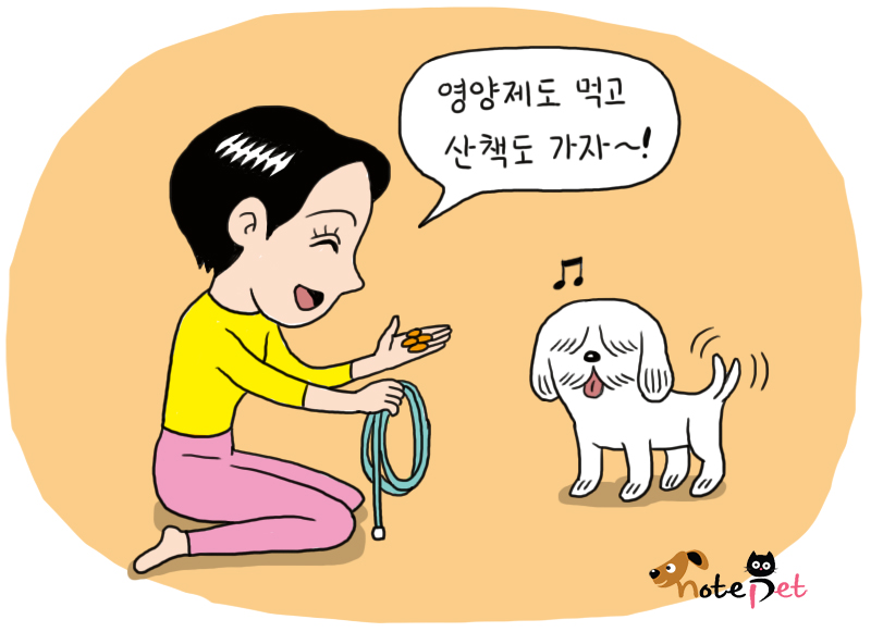 노트펫