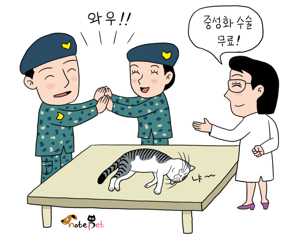 노트펫