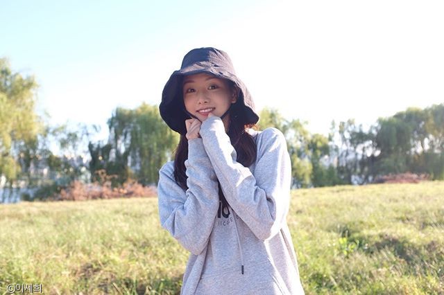 노트펫