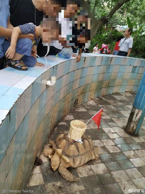 노트펫