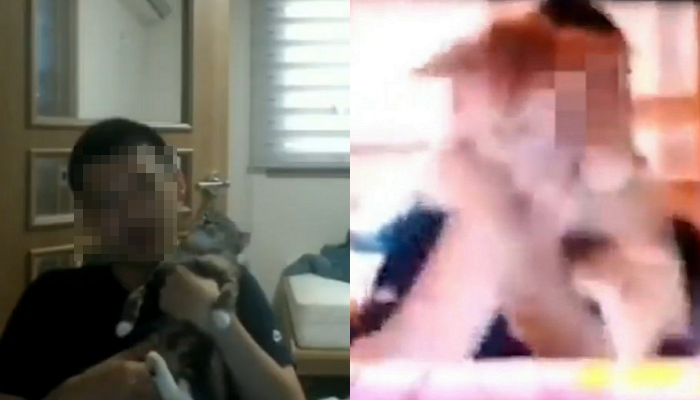 노트펫