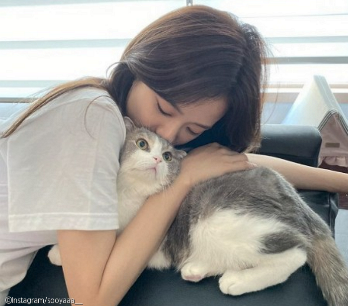 노트펫