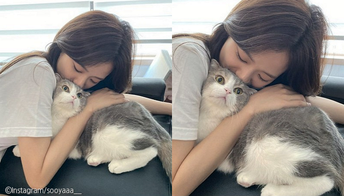 노트펫