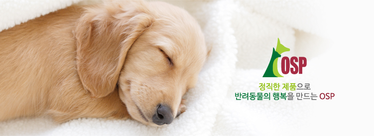 노트펫