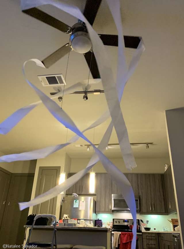 노트펫