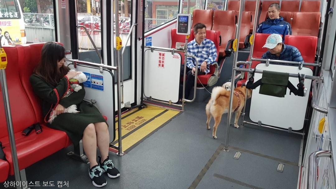 노트펫