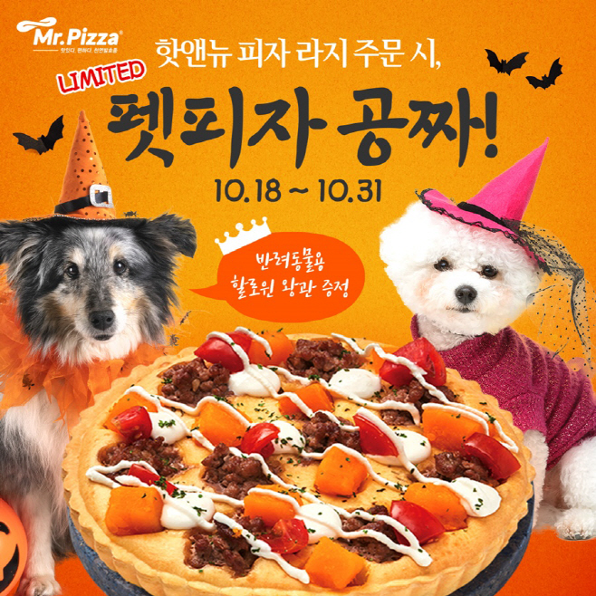 노트펫