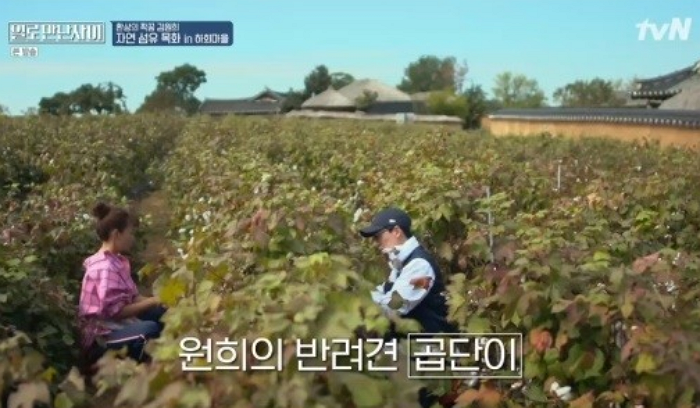 노트펫