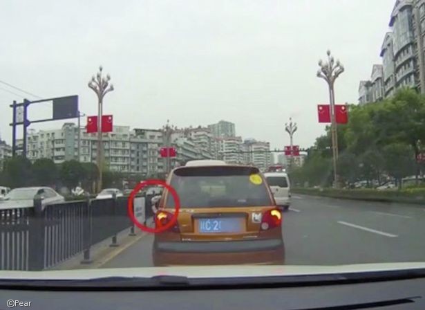 노트펫