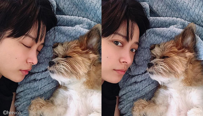 노트펫