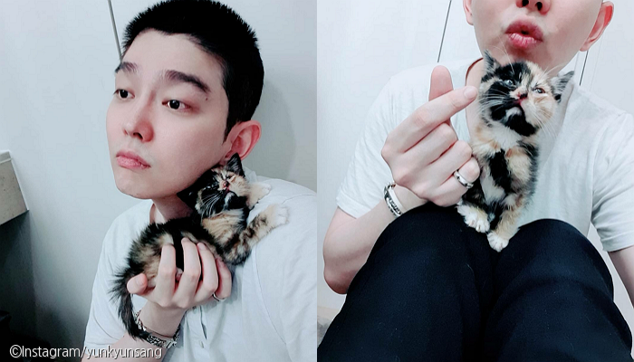 노트펫