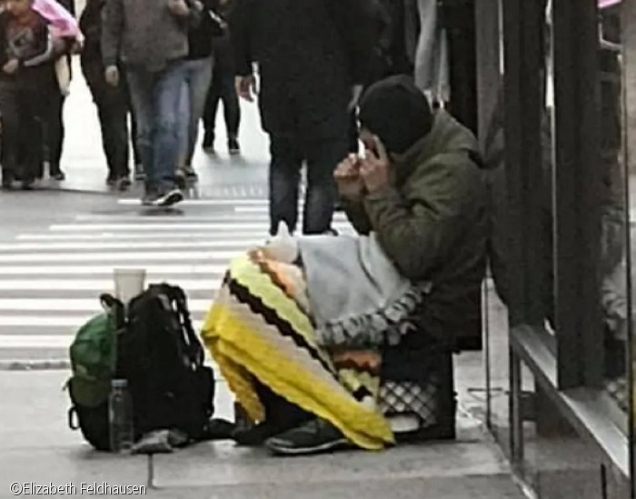 노트펫