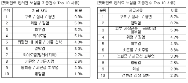 노트펫