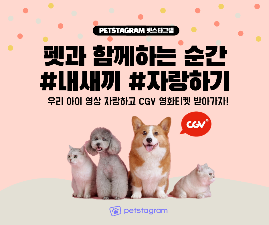 노트펫