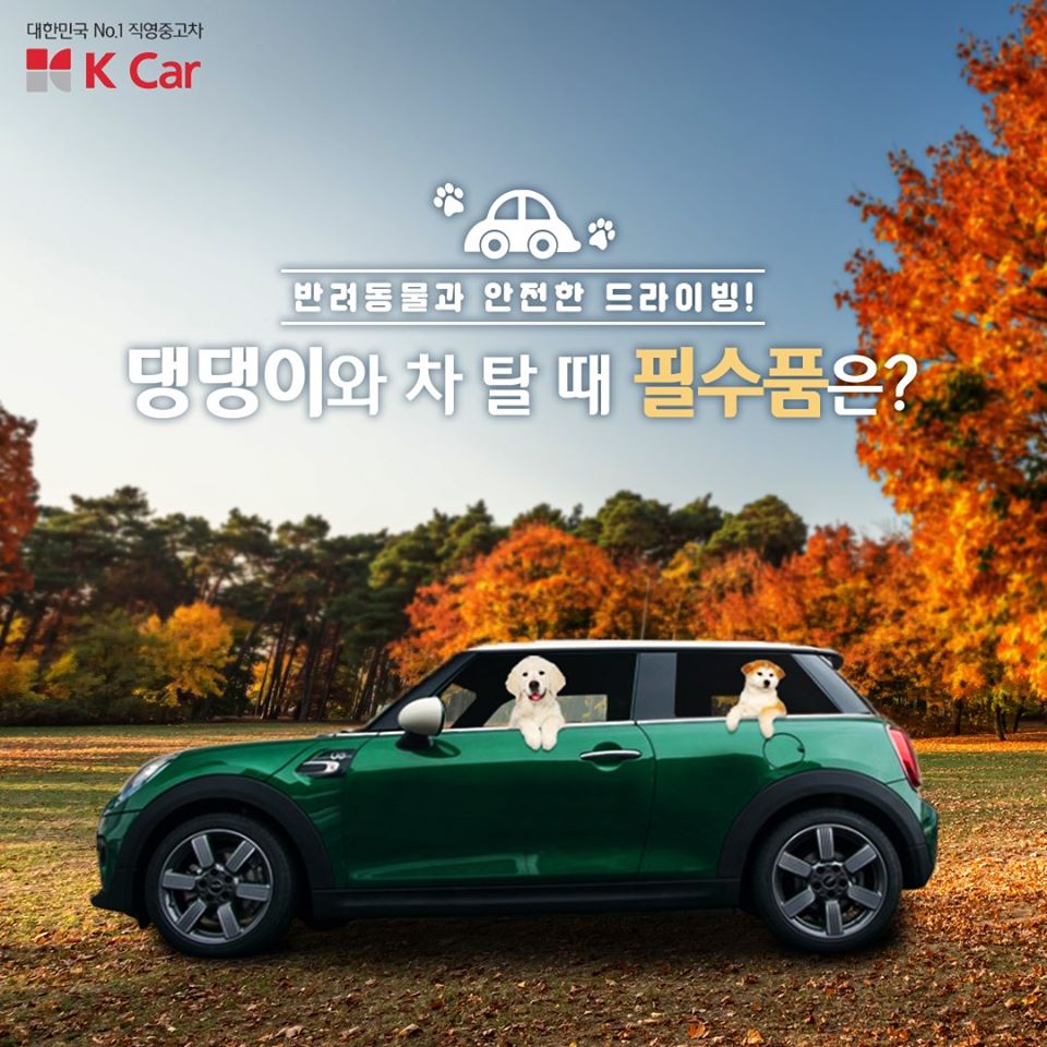 노트펫