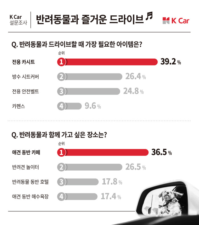 노트펫