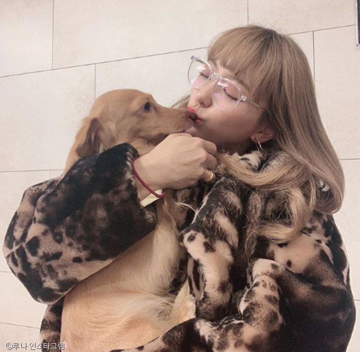 노트펫