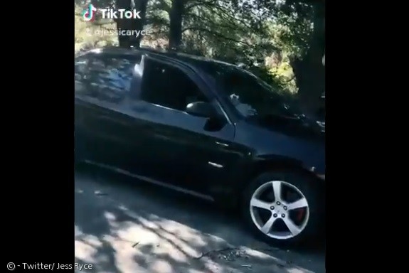노트펫