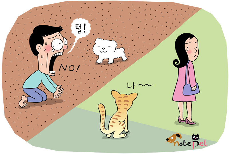 노트펫