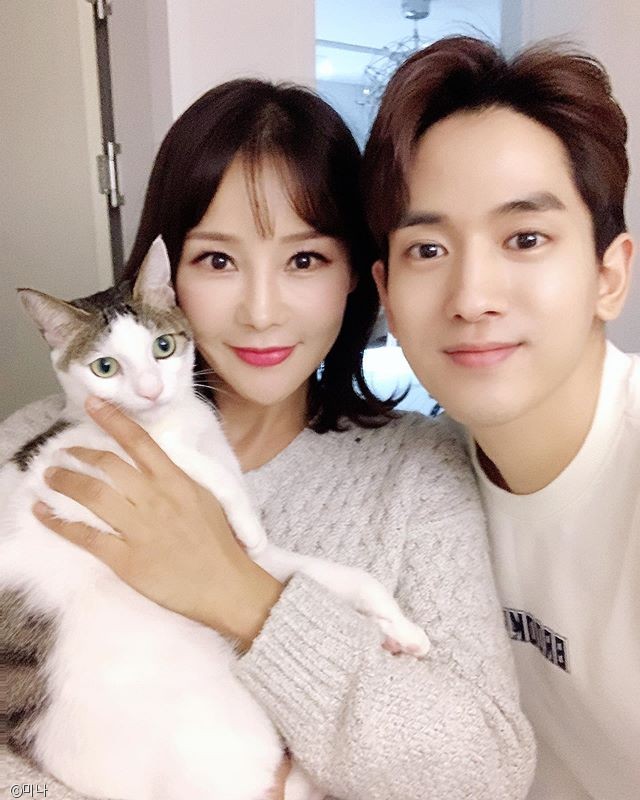 노트펫