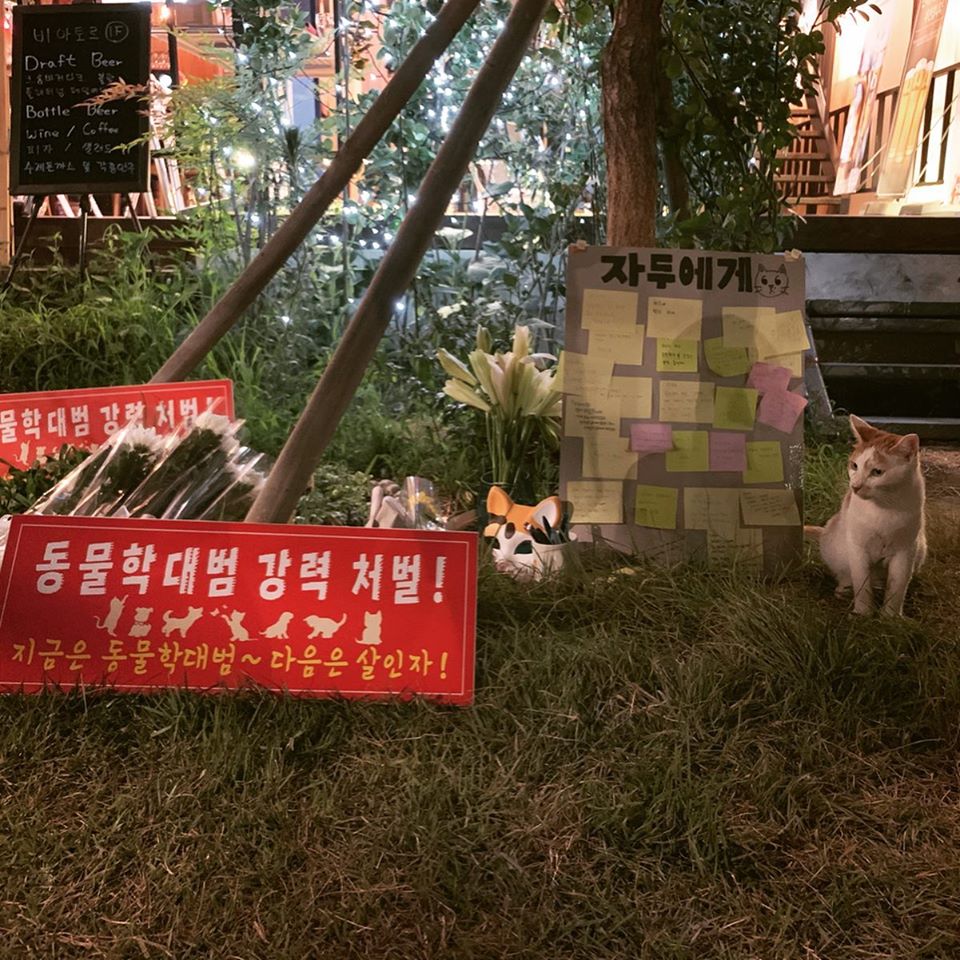 노트펫