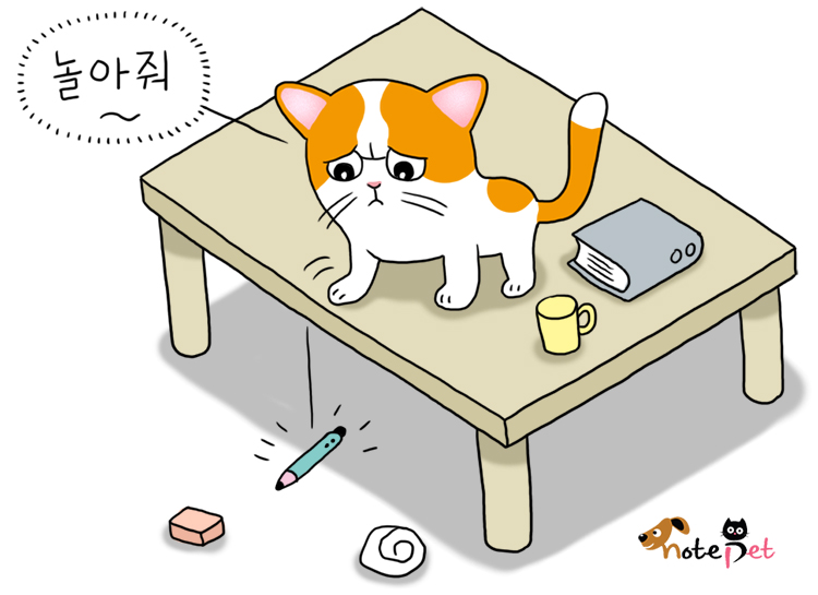 노트펫