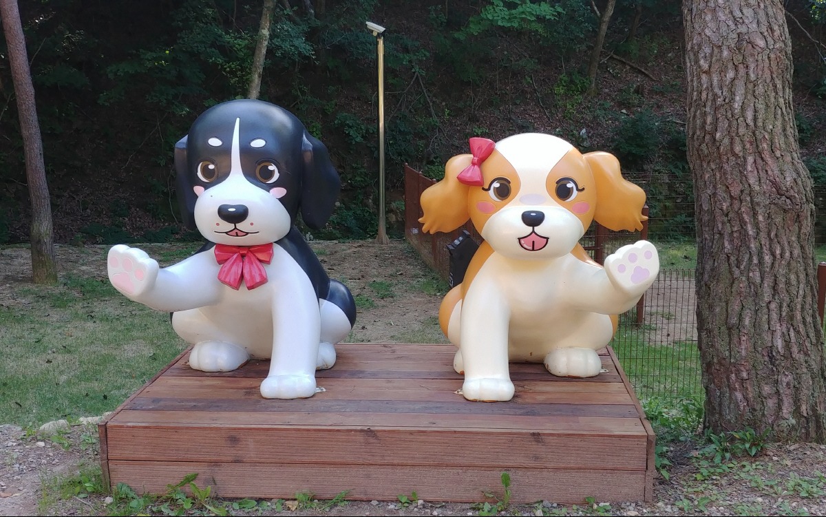 노트펫