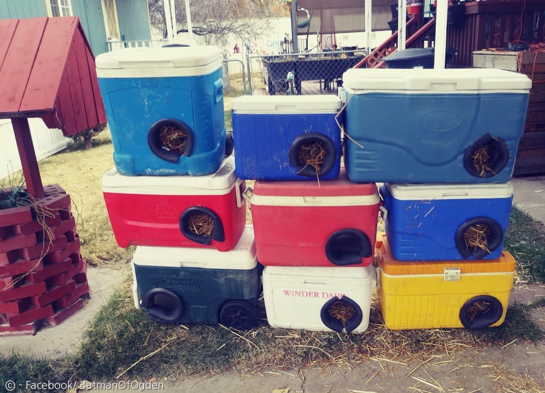 노트펫
