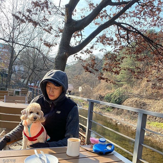 노트펫