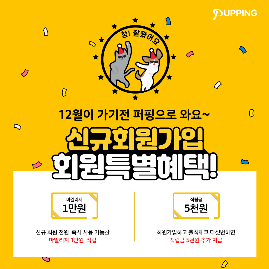 노트펫