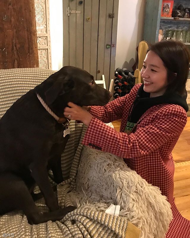 노트펫
