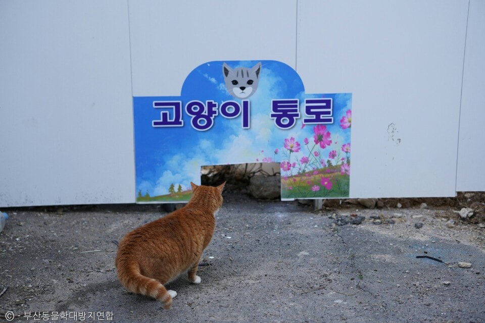 노트펫
