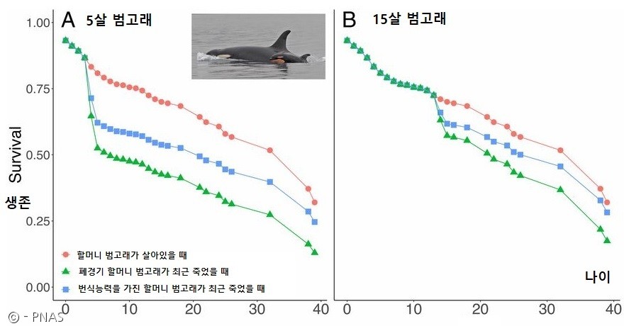 노트펫