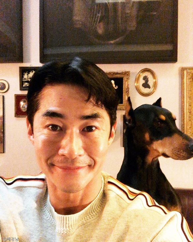 노트펫