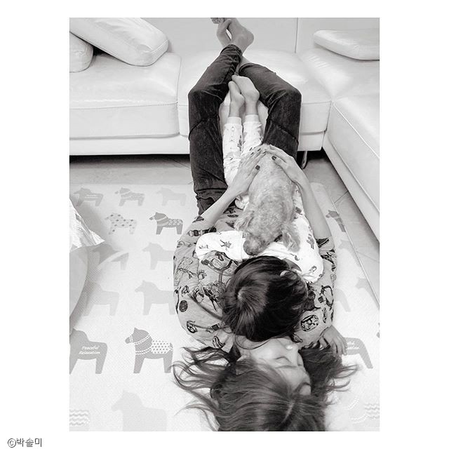 노트펫