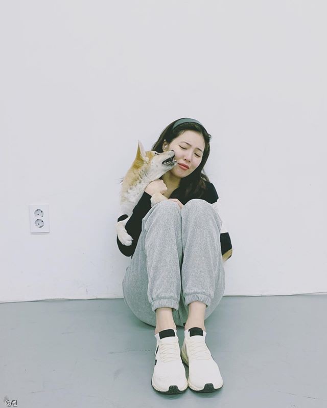 노트펫