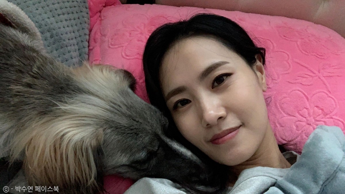 노트펫