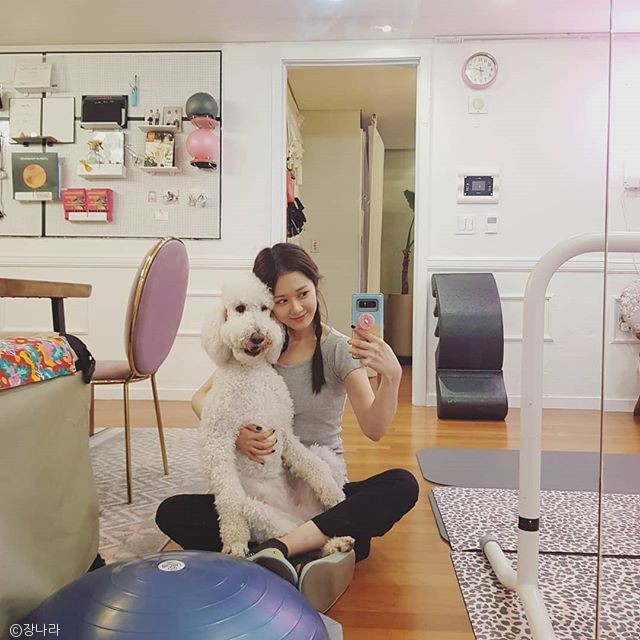 노트펫