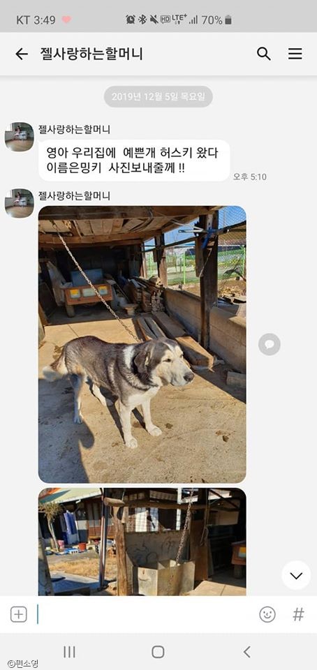노트펫