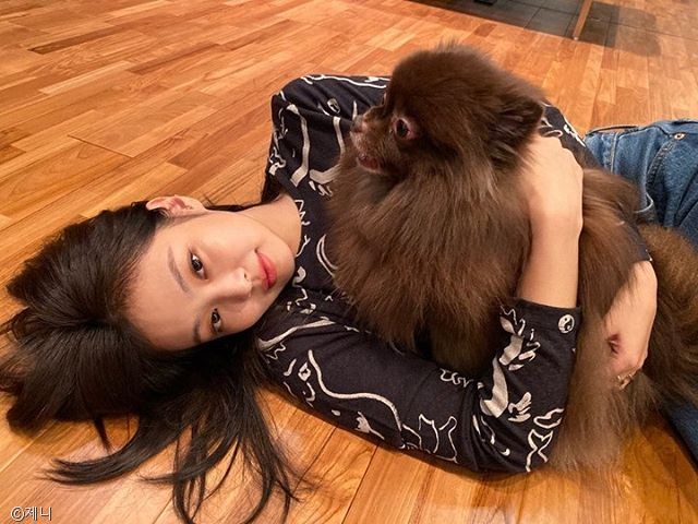 노트펫