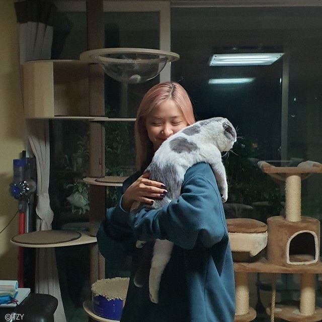 노트펫