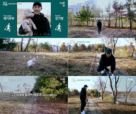 노트펫