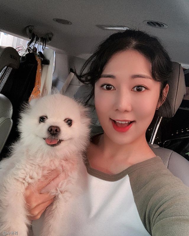 노트펫