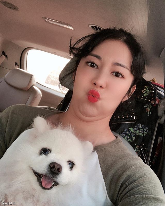 노트펫